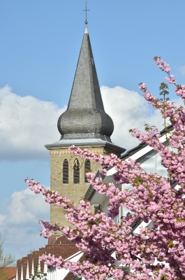 Der St. Philippus und Jakobus Kirchturm im Frühling mit einem blühenden Kirchbaum im Vordergrund