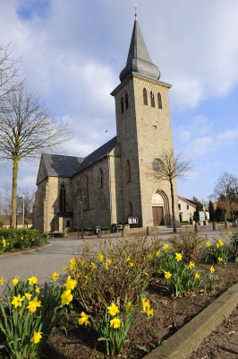 Die ganze St. Philippus und Jakobus Kirche in Steinbeck ist zu sehen im Vordergrund leuchtend gelbe Narzissen